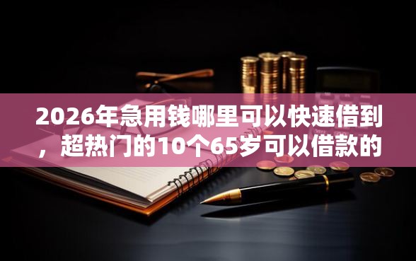 2026年急用钱哪里可以快速借到,超热门的10个65岁可以借款的平台推荐 2026年急用钱哪里可以快速借到,超热门的10个65岁可以借款的平台推荐