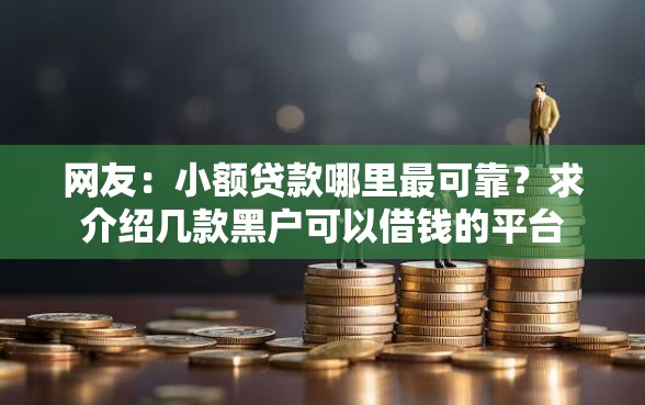 网友：小额贷款哪里最可靠？求介绍几款黑户可以借钱的平台