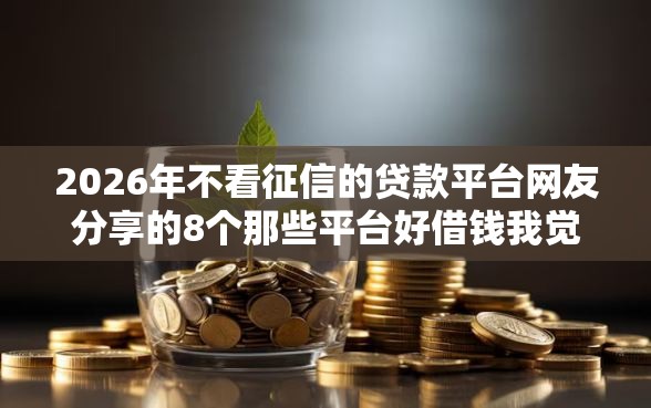 2026年不看征信的贷款平台网友分享的8个那些平台好借钱我觉得不错！