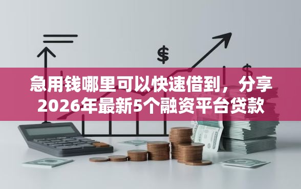 急用钱哪里可以快速借到，分享2026年最新5个融资平台贷款
