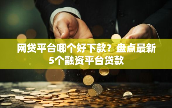 网贷平台哪个好下款？盘点最新5个融资平台贷款