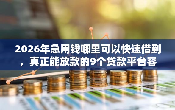 2026年急用钱哪里可以快速借到，真正能放款的9个贷款平台容易下款推荐