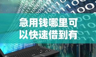 急用钱哪里可以快速借到有哪些？分享8个黑花户下款口子