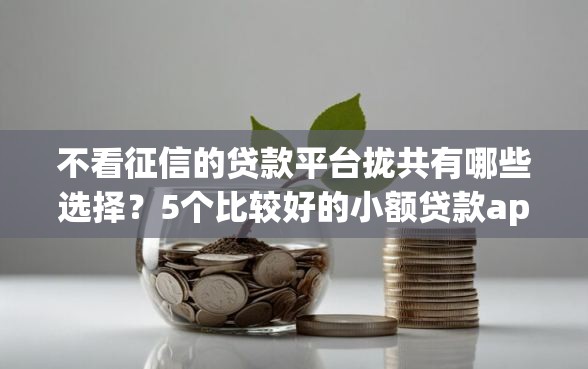 不看征信的贷款平台拢共有哪些选择？5个比较好的小额贷款app详解