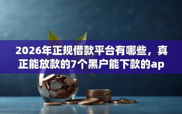 2026年正规借款平台有哪些，真正能放款的7个黑户能下款的app推荐
