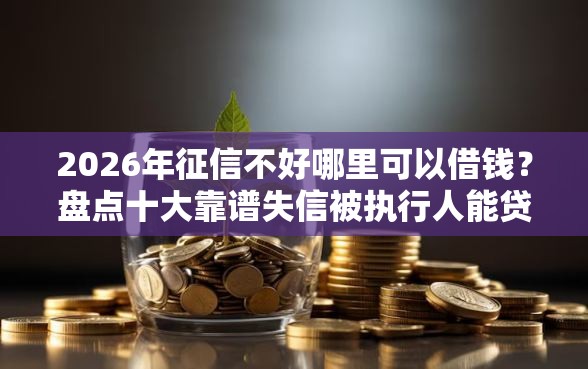 2026年征信不好哪里可以借钱？盘点十大靠谱失信被执行人能贷款的口子