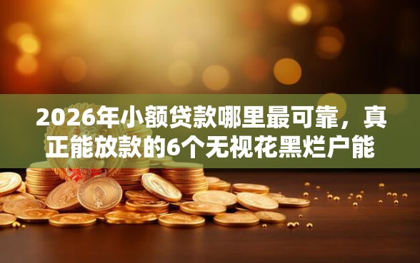 2026年小额贷款哪里最可靠，真正能放款的6个无视花黑烂户能下款的网贷推荐