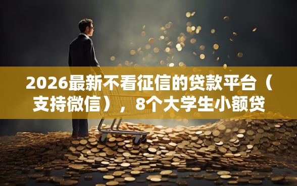 2026最新不看征信的贷款平台（支持微信），8个大学生小额贷款平台无私分享