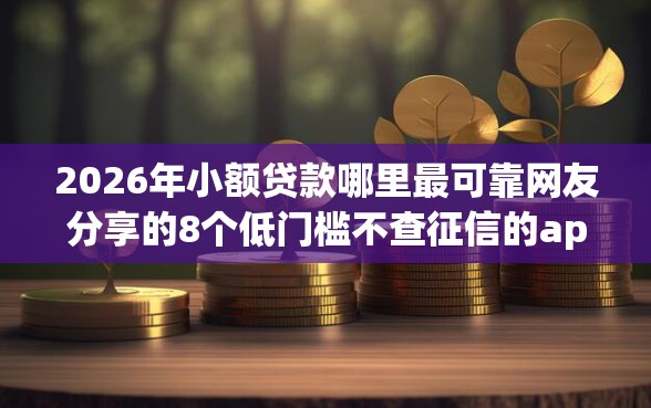 2026年小额贷款哪里最可靠网友分享的8个低门槛不查征信的app我觉得不错！