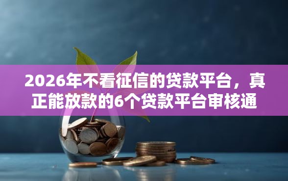 2026年不看征信的贷款平台，真正能放款的6个贷款平台审核通过的几率高推荐
