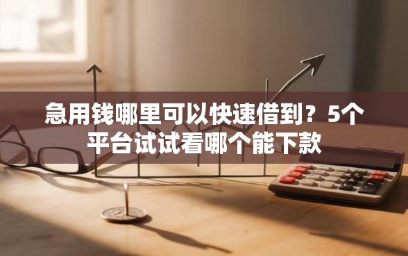 急用钱哪里可以快速借到？5个平台试试看哪个能下款