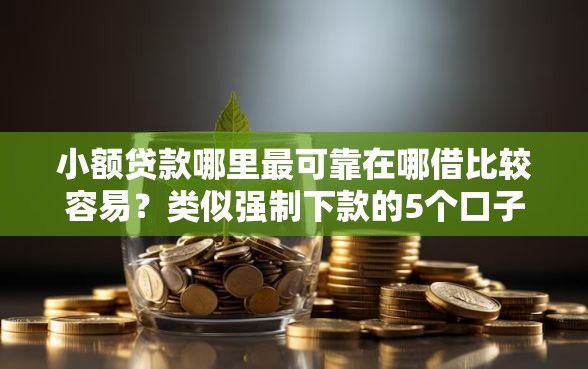 小额贷款哪里最可靠在哪借比较容易？类似强制下款的5个口子参考