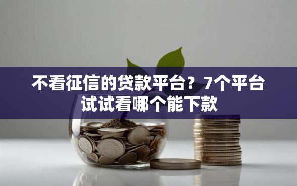 不看征信的贷款平台？7个平台试试看哪个能下款