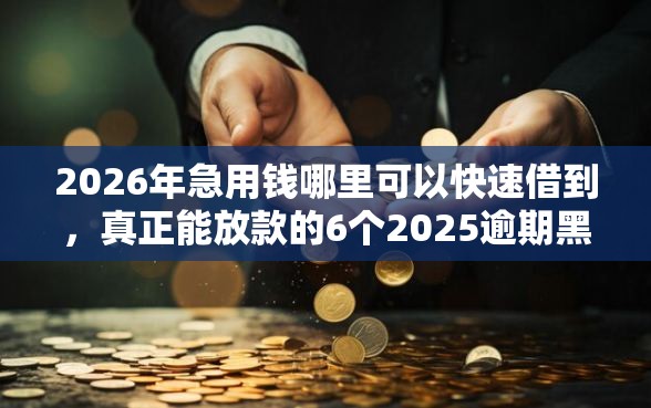 2026年急用钱哪里可以快速借到，真正能放款的6个2025逾期黑户能下款的口子推荐