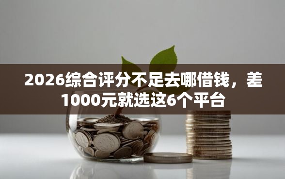 2026综合评分不足去哪借钱，差1000元就选这6个平台