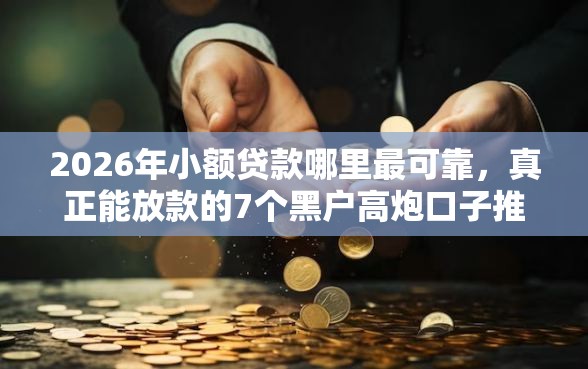 2026年小额贷款哪里最可靠，真正能放款的7个黑户高炮口子推荐