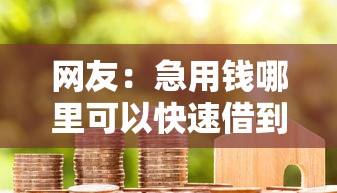 网友：急用钱哪里可以快速借到？求介绍几款分36期的正规贷款平台