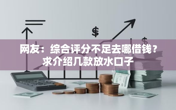 网友：综合评分不足去哪借钱？求介绍几款放水口子