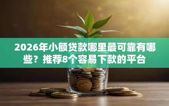 2026年小额贷款哪里最可靠有哪些？推荐8个容易下款的平台