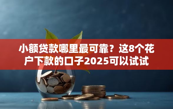 小额贷款哪里最可靠？这8个花户下款的口子2025可以试试