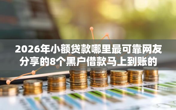 2026年小额贷款哪里最可靠网友分享的8个黑户借款马上到账的口子我觉得不错！