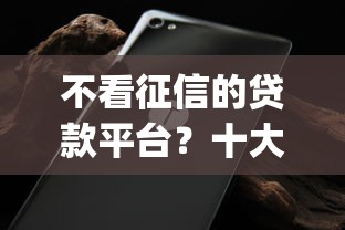不看征信的贷款平台？十大无视征信黑白100%秒下app推荐