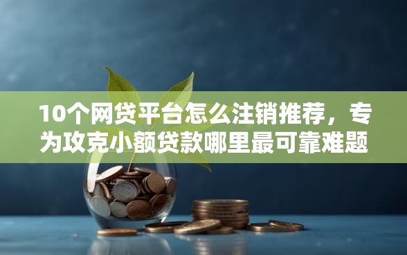 10个网贷平台怎么注销推荐，专为攻克小额贷款哪里最可靠难题