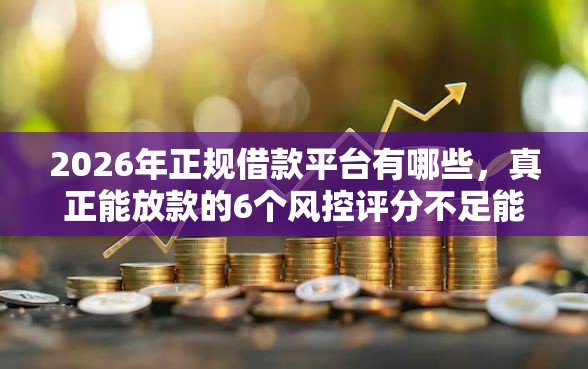 2026年正规借款平台有哪些，真正能放款的6个风控评分不足能下款的平台推荐