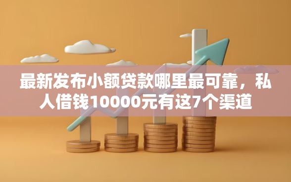 最新发布小额贷款哪里最可靠，私人借钱10000元有这7个渠道