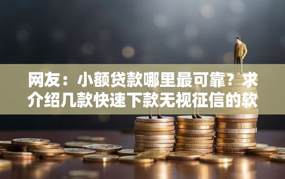 网友：小额贷款哪里最可靠？求介绍几款快速下款无视征信的软件