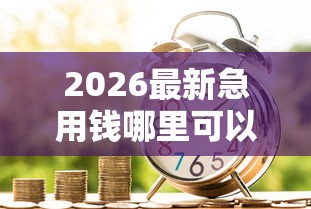 2026最新急用钱哪里可以快速借到，总结十个贷款加盟平台！