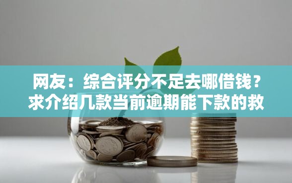 网友：综合评分不足去哪借钱？求介绍几款当前逾期能下款的救命平台