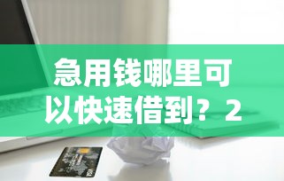 急用钱哪里可以快速借到？2026最新测评10个无视一切是人就下款平台