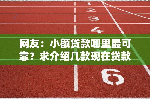 网友：小额贷款哪里最可靠？求介绍几款现在贷款平台好