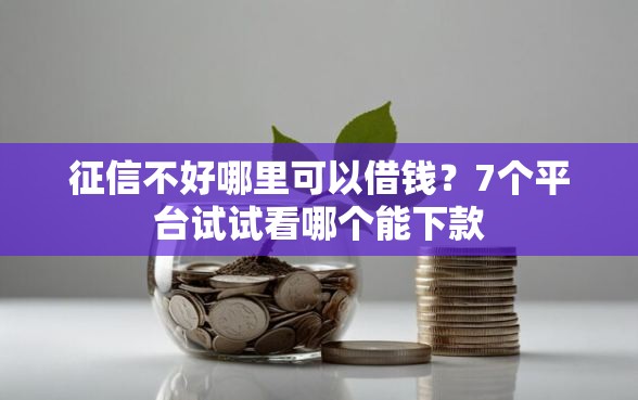 征信不好哪里可以借钱？7个平台试试看哪个能下款