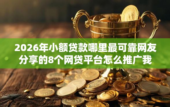 2026年小额贷款哪里最可靠网友分享的8个网贷平台怎么推广我觉得不错！