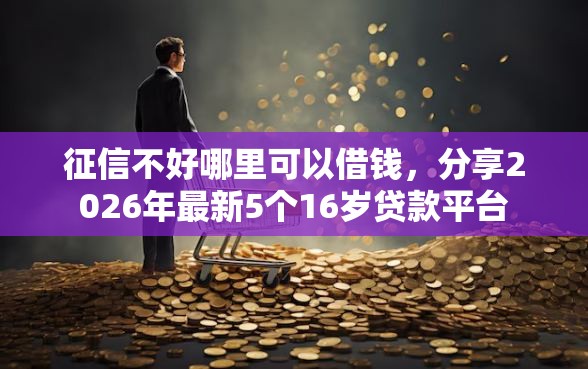 征信不好哪里可以借钱，分享2026年最新5个16岁贷款平台