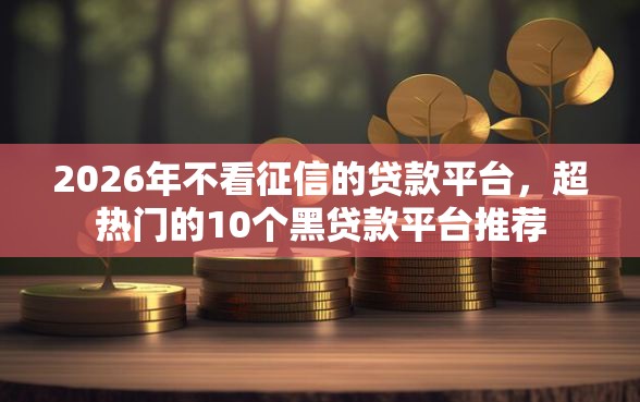 2026年不看征信的贷款平台，超热门的10个黑贷款平台推荐