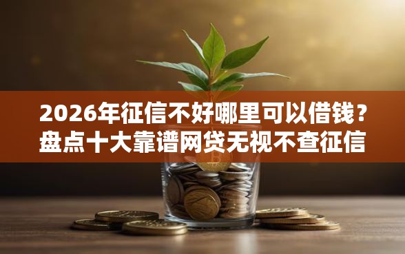 2026年征信不好哪里可以借钱？盘点十大靠谱网贷无视不查征信平台