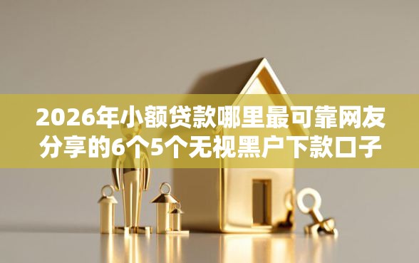2026年小额贷款哪里最可靠网友分享的6个5个无视黑户下款口子我觉得不错！