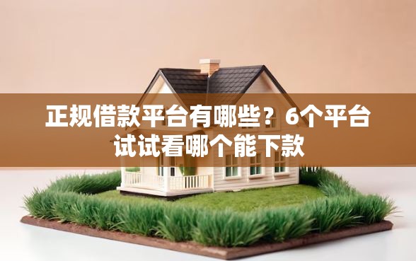 正规借款平台有哪些？6个平台试试看哪个能下款