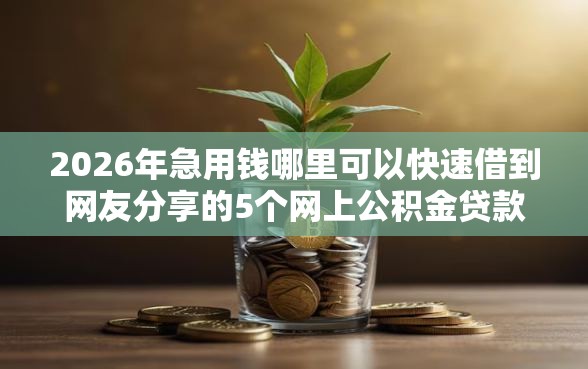 2026年急用钱哪里可以快速借到网友分享的5个网上公积金贷款平台我觉得不错！