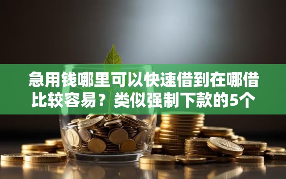 急用钱哪里可以快速借到在哪借比较容易？类似强制下款的5个口子参考