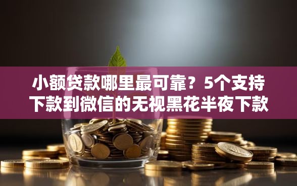 小额贷款哪里最可靠？5个支持下款到微信的无视黑花半夜下款的网贷平台
