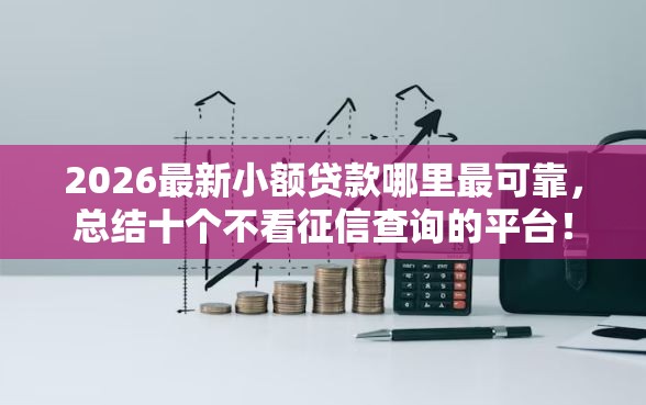 2026最新小额贷款哪里最可靠，总结十个不看征信查询的平台！