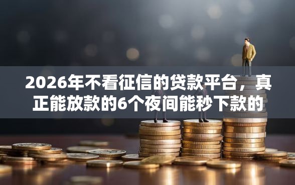 2026年不看征信的贷款平台，真正能放款的6个夜间能秒下款的高炮口子推荐