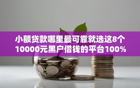小额贷款哪里最可靠就选这8个10000元黑户借钱的平台100%能借