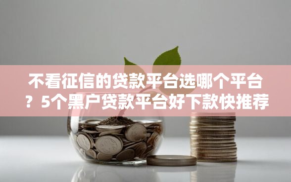 不看征信的贷款平台选哪个平台？5个黑户贷款平台好下款快推荐