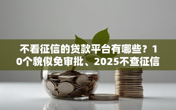 不看征信的贷款平台有哪些？10个貌似免审批、2025不查征信能下款的平台合集