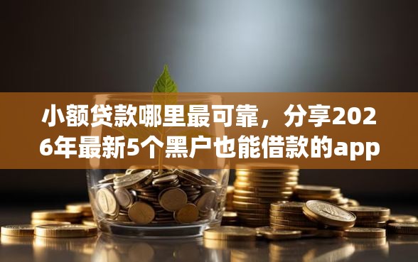 小额贷款哪里最可靠，分享2026年最新5个黑户也能借款的app